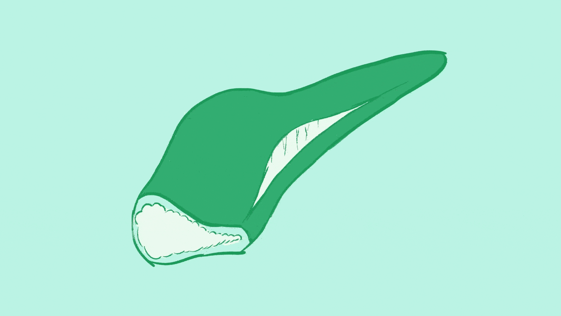 Two Sides To Every View 